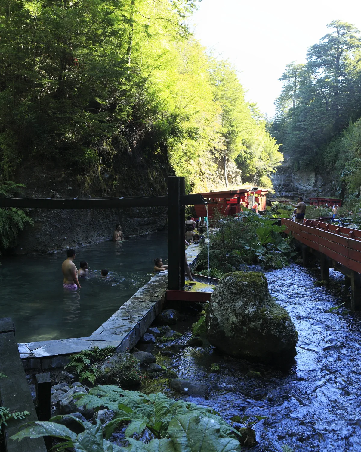 Red wooden walkways over hot pools in a forested gorge