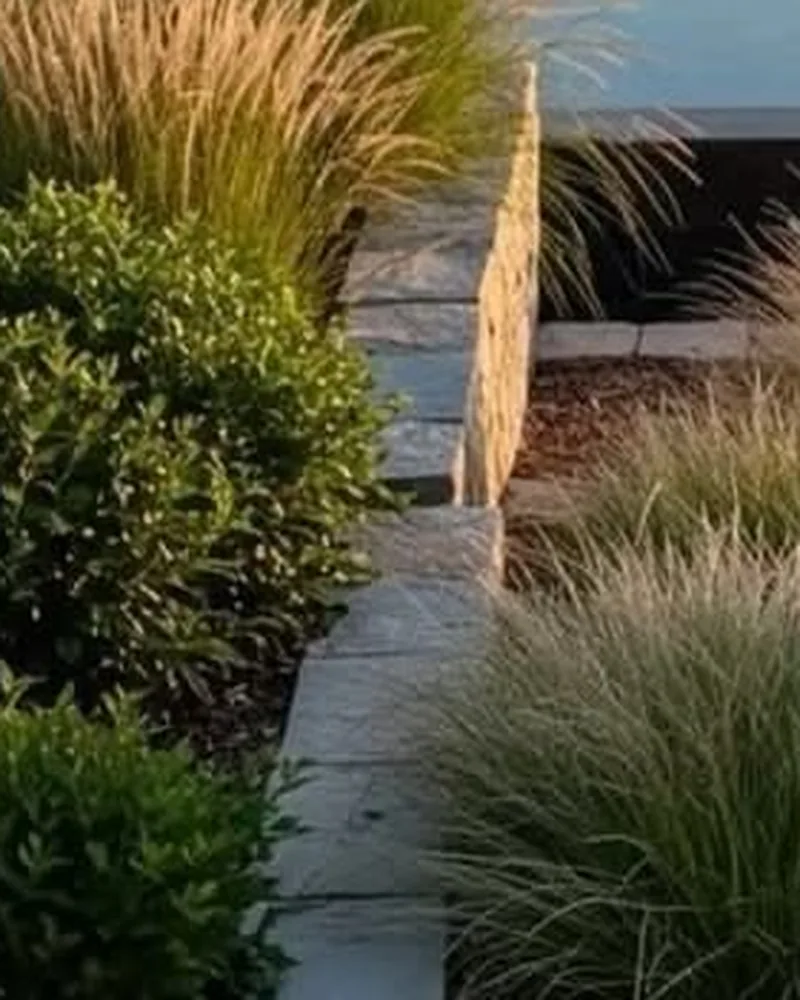 Grasses