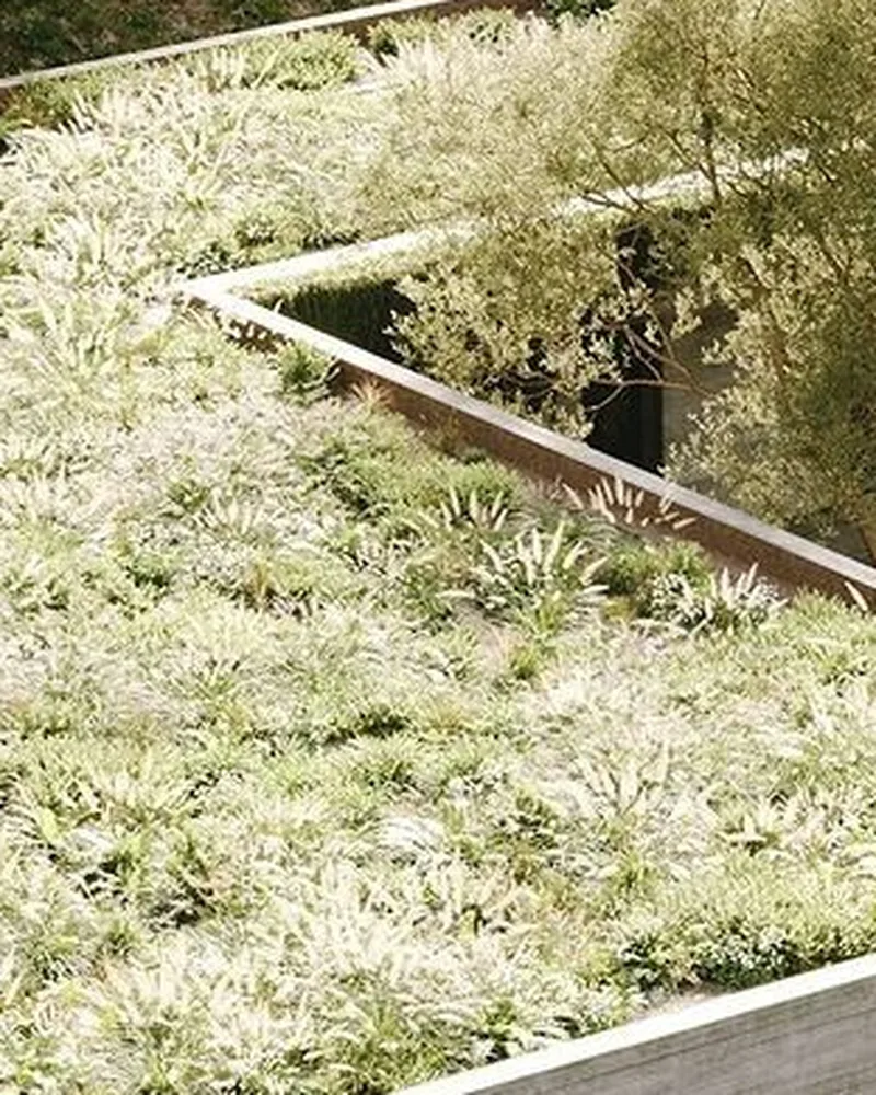 Planted roof