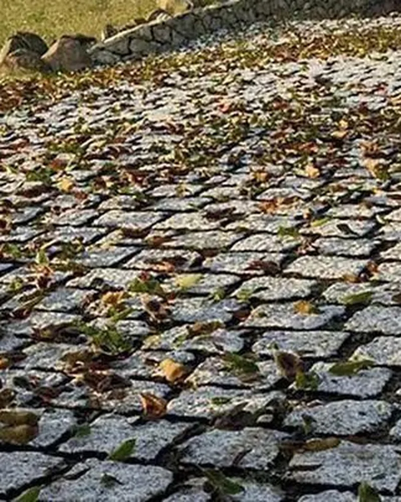 Stone