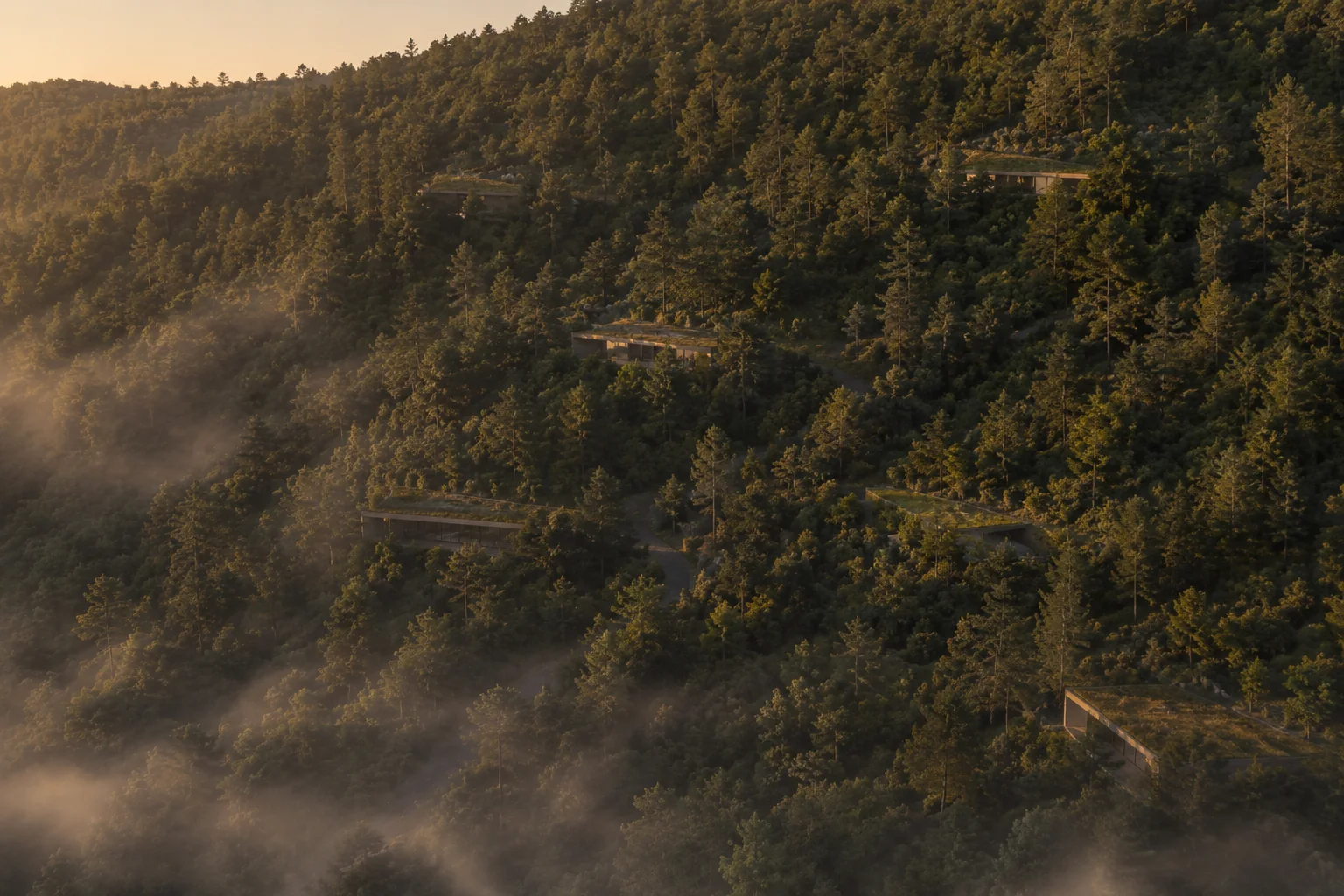 The hillside from the air at dawn: a few planted roofs and strips of glass in dense forest, a road glimpsed between the trees, fog in the valley