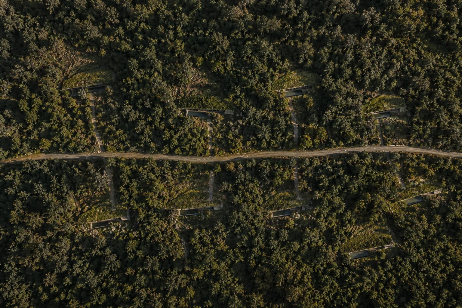 Straight down onto the hillside: the road along the contour, nine planted roofs in the forest, four above the road and five below
